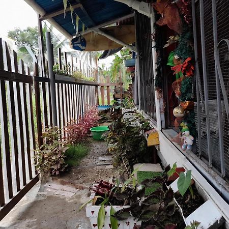 Hostal Cafe Axel Bocas del Toro Eksteriør billede